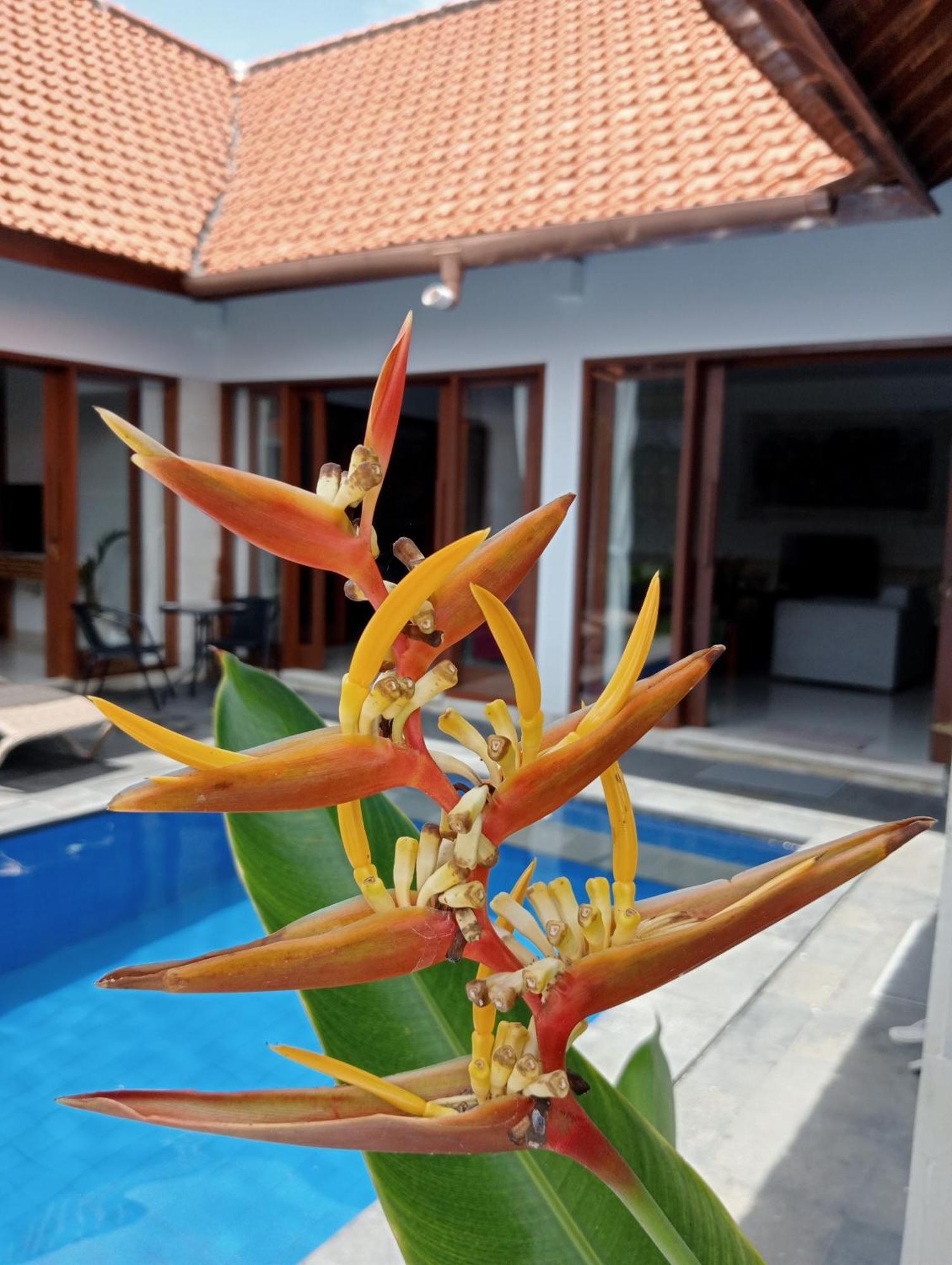 Pondok Indah Villa Ujung Eksteriør billede